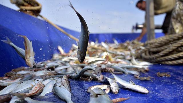 Yasaklara uymayan balıkçılara 5 milyon lira ceza kesildi