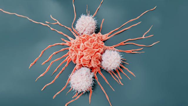 Bağışıklık sistemiyle gelen çare: Kanser tarihe mi karışıyor?