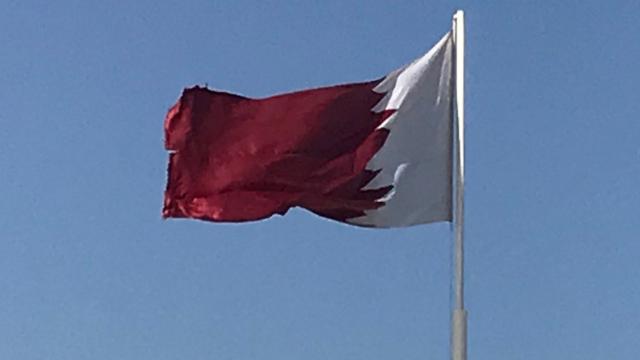 Katar: Türkiye'nin tahıl anlaşmasının yeniden başlamasındaki çabalarını takdir ediyoruz