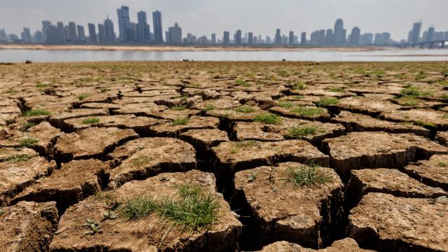BM yetkilisi: İklim değişikliğiyle mücadele herkesin sorumluluğu