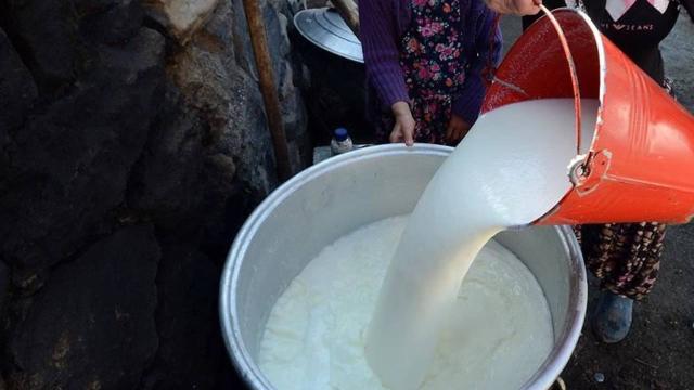 Bolu'da çiğ süt üreticilerine 5,5 milyon lira destek ödemesi