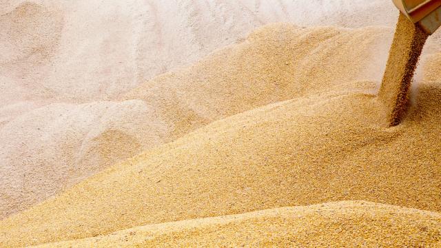 Rusya, Mali'ye 100 milyon dolarlık yakıt ve tahıl gönderiyor
