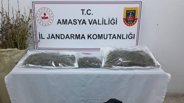 Amasya'da uyuşturucu operasyonu