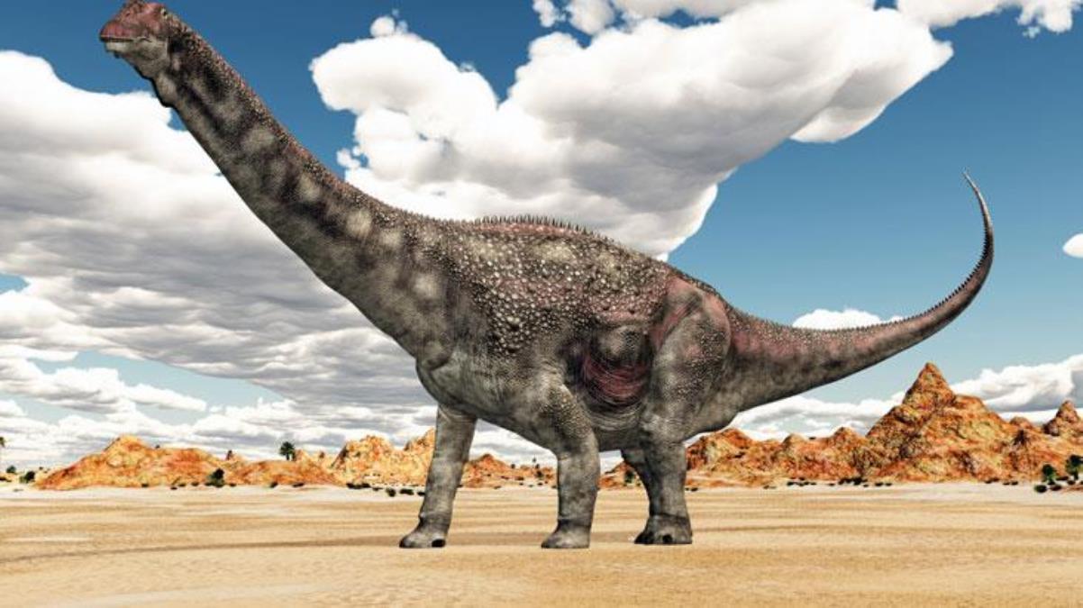 Avustralya'da dinozor kafatası fosilinin tamamına yakını bulundu