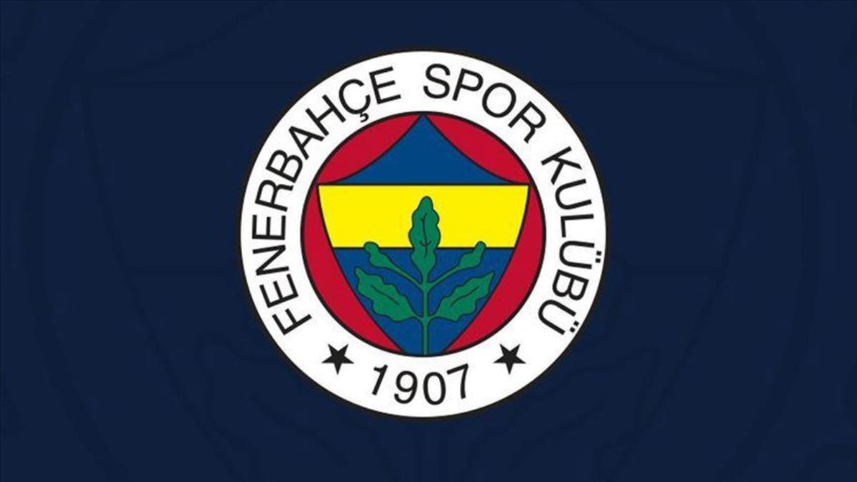 Fenerbahçe'de ceza hududunda bulunan futbolcular! Fenerbahçe'de hangi futbolcular cezalı yahut sakat?
