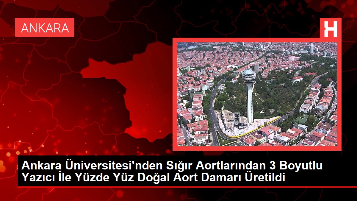 Ankara Üniversitesi'nden Sığır Aortlarından 3 Boyutlu Yazıcı İle Yüzde Yüz Doğal Aort Damarı Üretildi