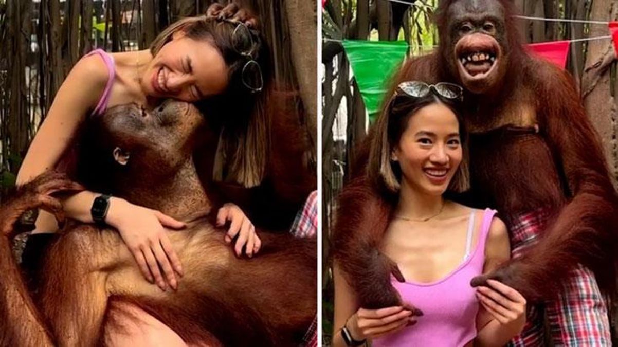 Hayvanat bahçesine giden genç turist orangutanın tacizine uğradı