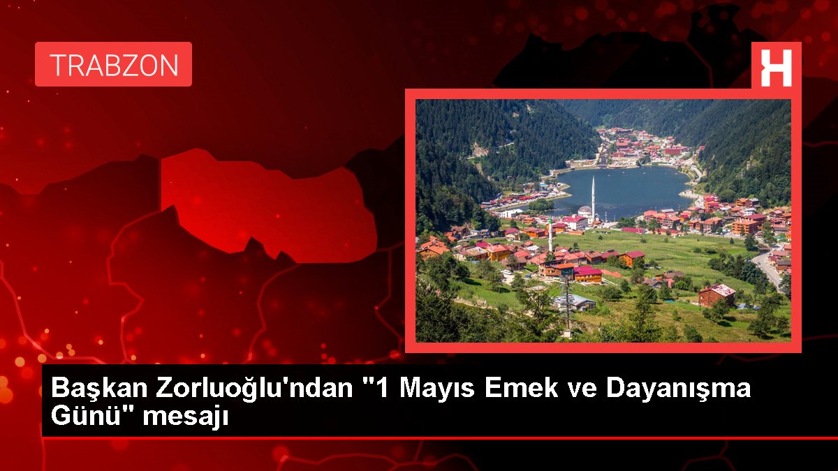 Lider Zorluoğlu'ndan "1 Mayıs Emek ve Dayanışma Günü" bildirisi