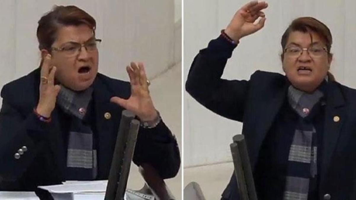 Meclis'teki Hatay çıkışıyla gündem olmuştu! CHP'den aday gösterilmeyen Suzan Şahin birinci sefer konuştu