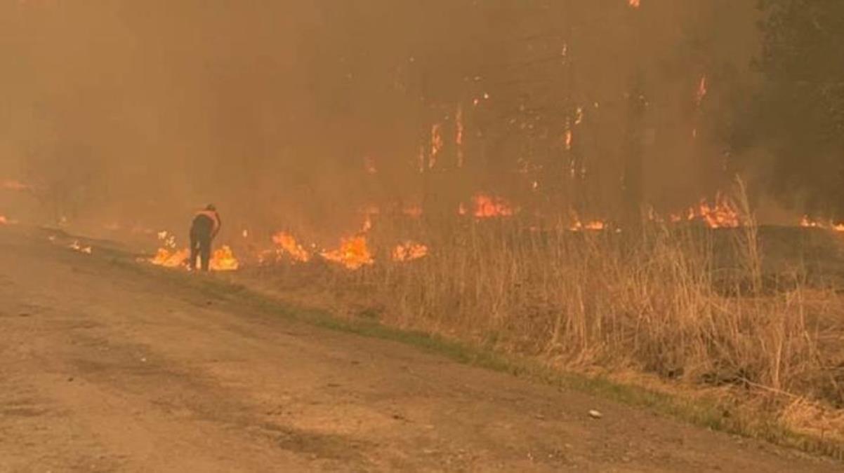 Rusya'da çıkan orman yangınlarında 21 kişi hayatını kaybetti