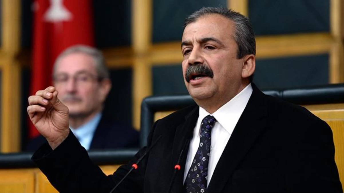 Yeşil Sol Parti'den aday olan Sırrı Süreyya Başkan Meclis'e girdi