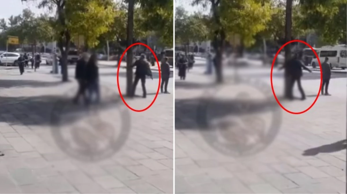 Ankara'da bir ağacı döven adamın imgeleri kısa müddette viral oldu