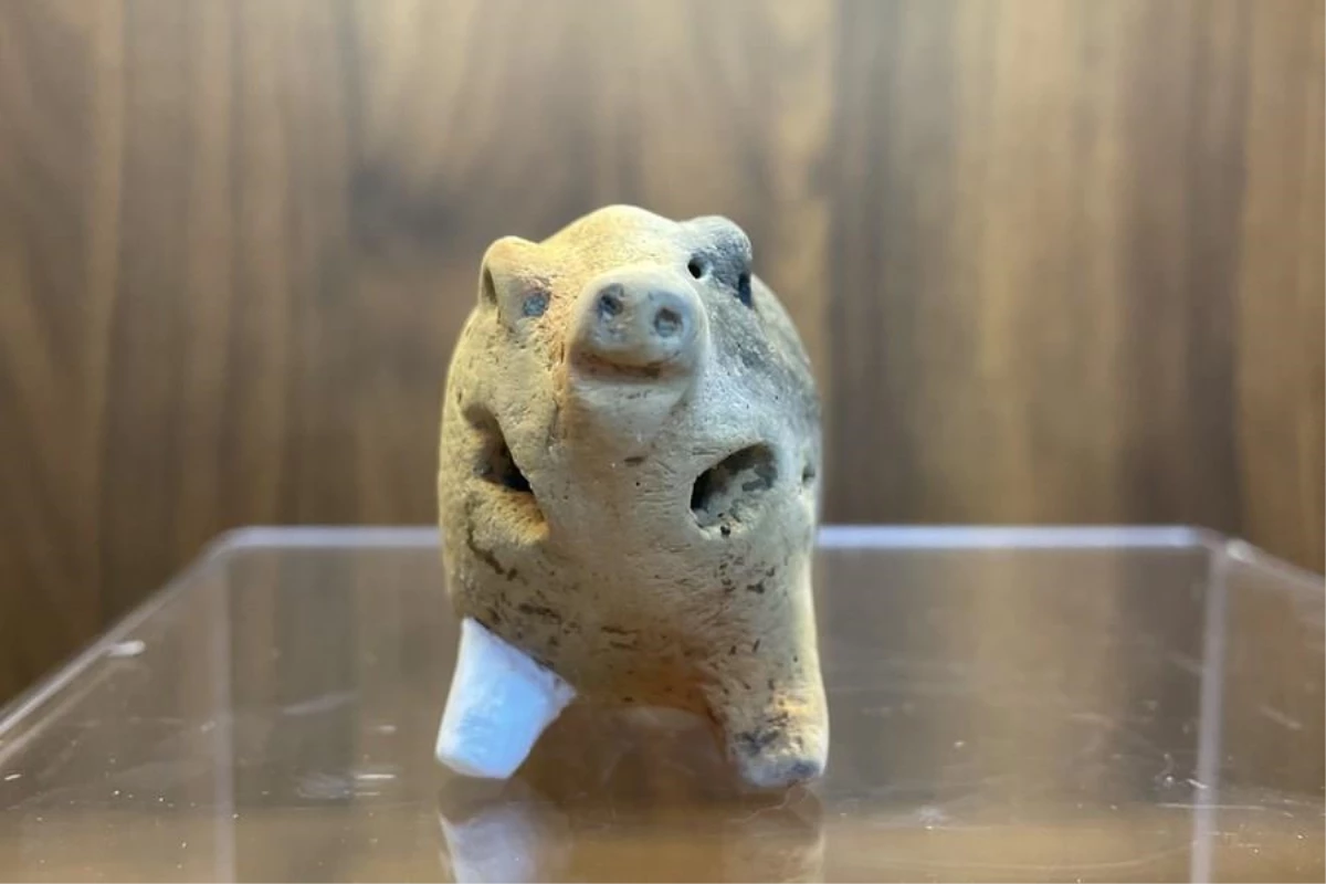 Çin'de 6000 yıllık domuz formunda çömlek modülü bulundu