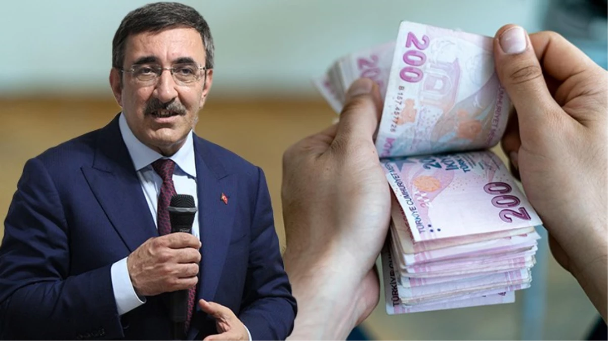 Cumhurbaşkanı Yardımcısı Cevdet Yılmaz'dan "Asgari fiyat ne kadar olacak" sorusuna karşılık: Bir sürü dengeyi dikkate almak durumundasınız