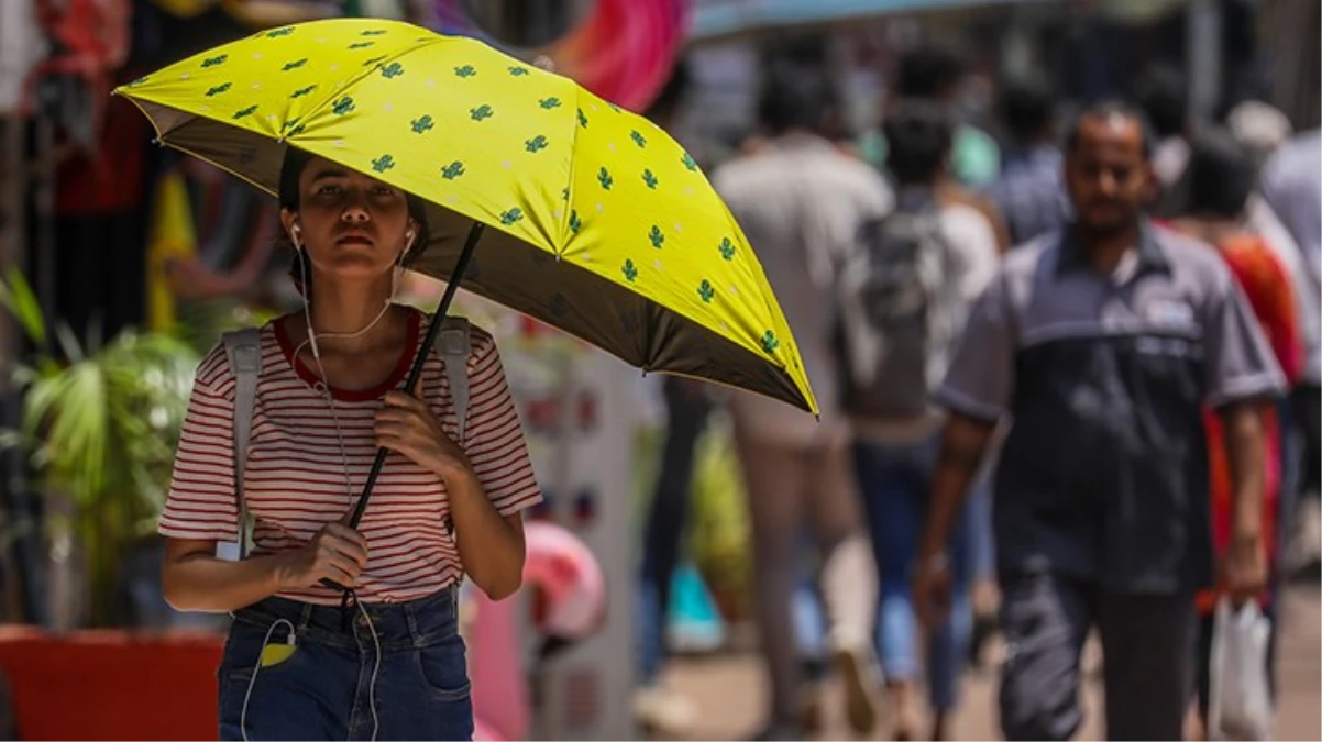 Hindistan'ı sıcak hava vurdu, can kaybı 96'yı buldu