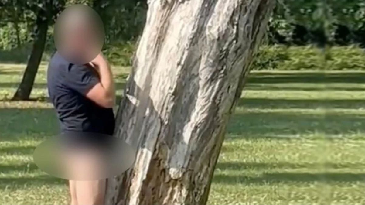 İngiltere'de bir adam parkta güpegündüz ağaçla bağa girdi