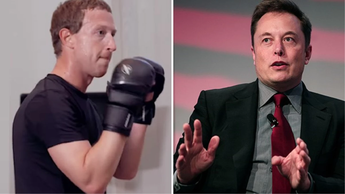 Mark Zuckerberg, Elon Musk'ın kafes dövüşü teklifini kabul etti: Pozisyon at