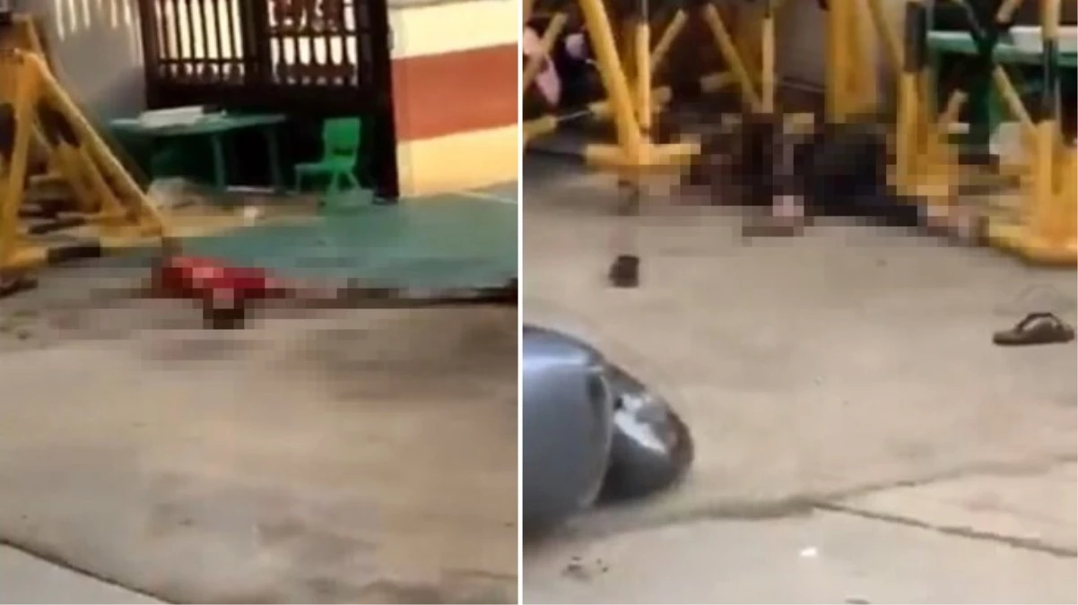 Çin'de anaokuluna bıçaklı saldırı! 3'ü çocuk 6 kişi öldü, 1 kişi yaralandı