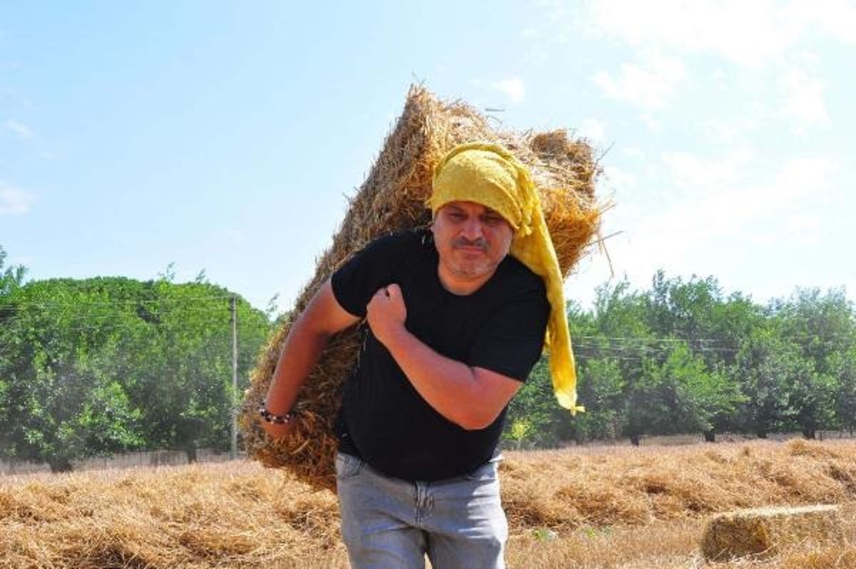 Okul Müdürü Tarlasında Buğday Hasadı Yaparak Okula Takviye Oluyor