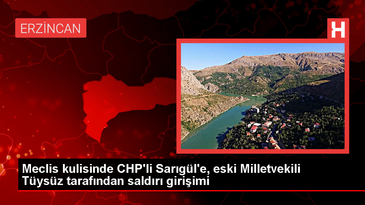 Meclis'te Turan Tüysüz, Mustafa Sarıgül'e Yumruklu Akın Teşebbüsünde Bulundu
