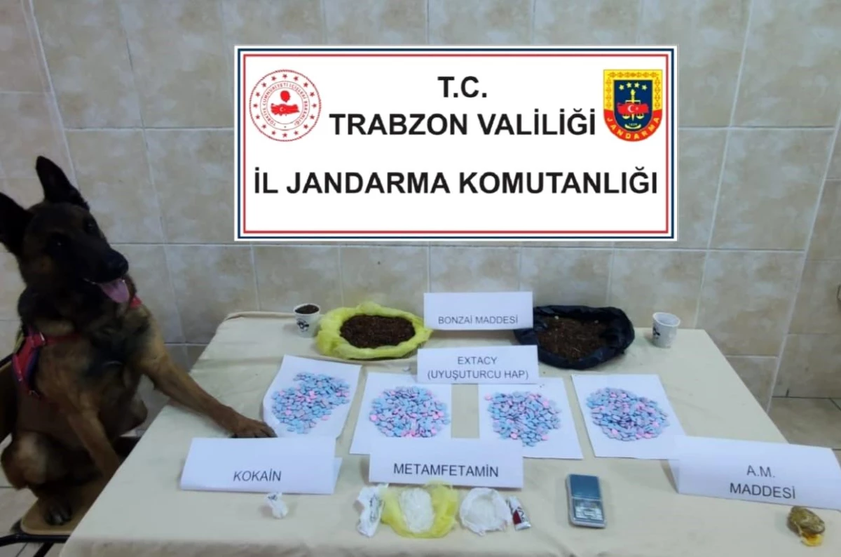 Trabzon'da Jandarma Narkotik Köpeği Duman'ın Başarısı