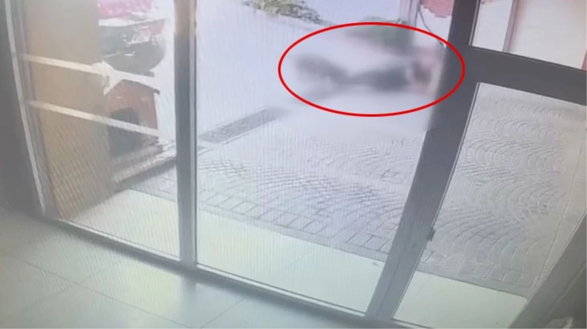 Bakırköy'deki dehşete düşüren pitbull saldırısının güvenlik kamerası görüntüleri ortaya çıktı