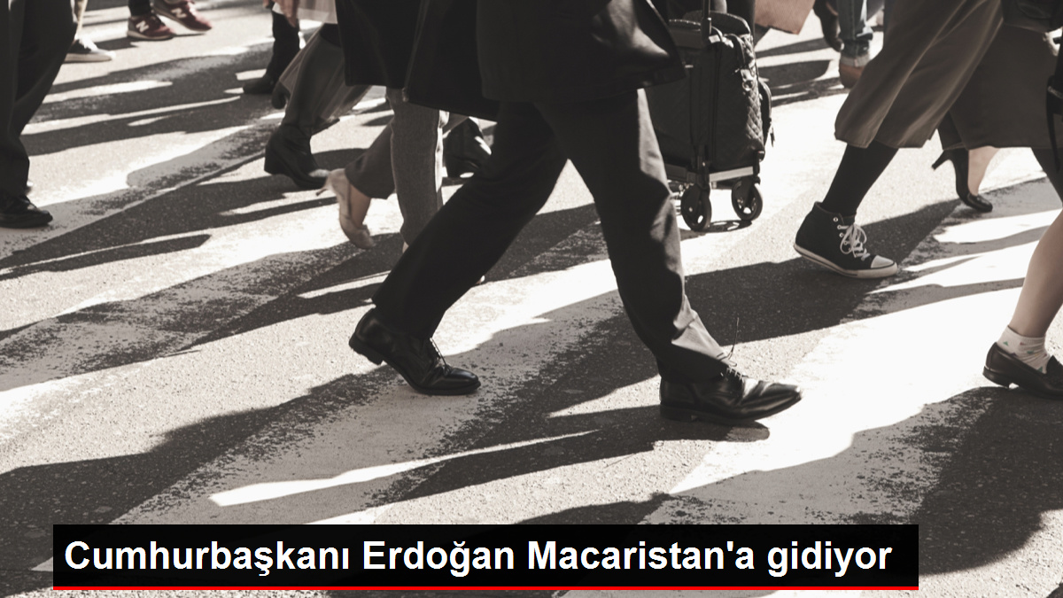 Cumhurbaşkanı Erdoğan, yarın Macaristan'ı ziyaret edecek