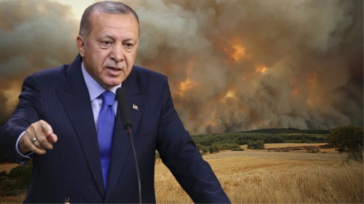 Cumhurbaşkanı Erdoğan'dan Çanakkale'deki orman yangına ait açıklama: Yayılması durduruldu