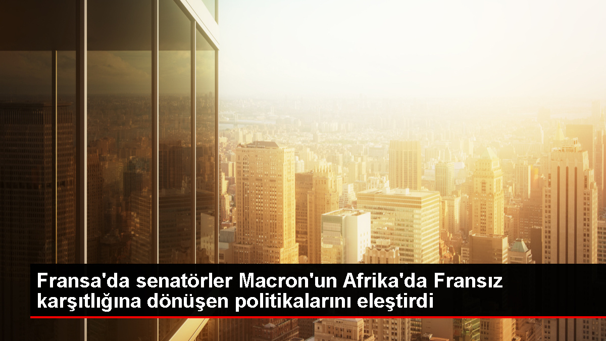 Fransız Senatörlerden Macron'a Afrika siyaseti eleştirisi