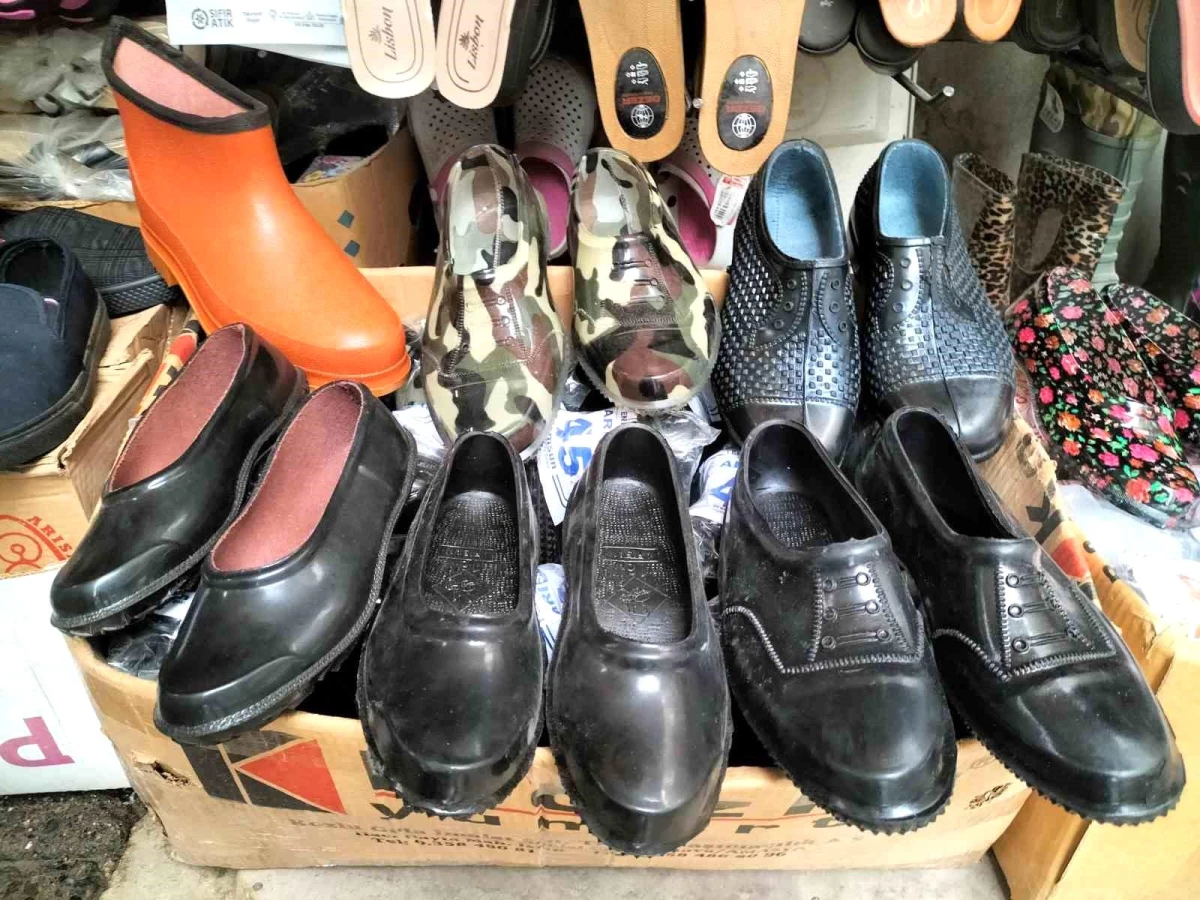 Karadeniz Bölgesi'nde Fındık Hasadında Kara Lastik Ayakkabılar Tercih Ediliyor