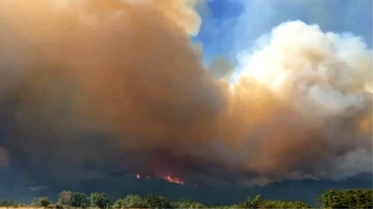 Komşudaki orman yangını büyümeye devam ediyor! Dumanlar Edirne'den görülüyor