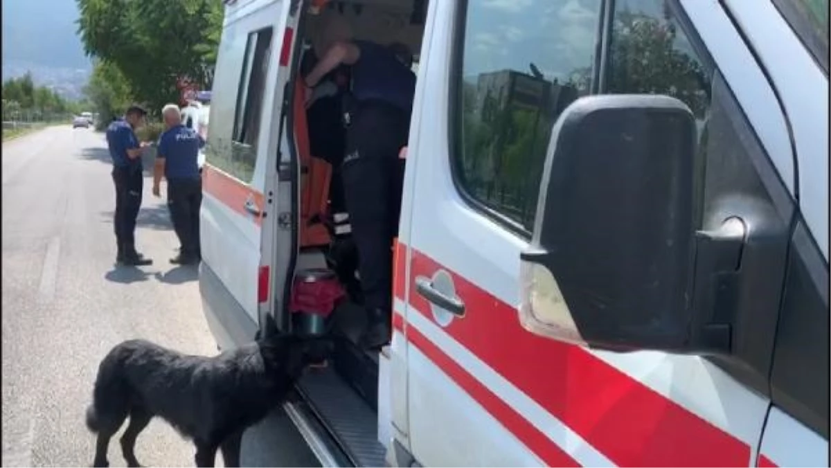 Köpeğini Gezdiren Adam Tabancayla Vuruldu, Köpeği Ambulansın Kapısının Önünde Bekledi