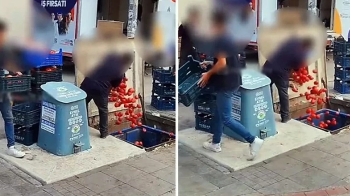 Ticaret Bakanlığı, kasa kasa domatesi çöpe döken marketin cezasını kesti