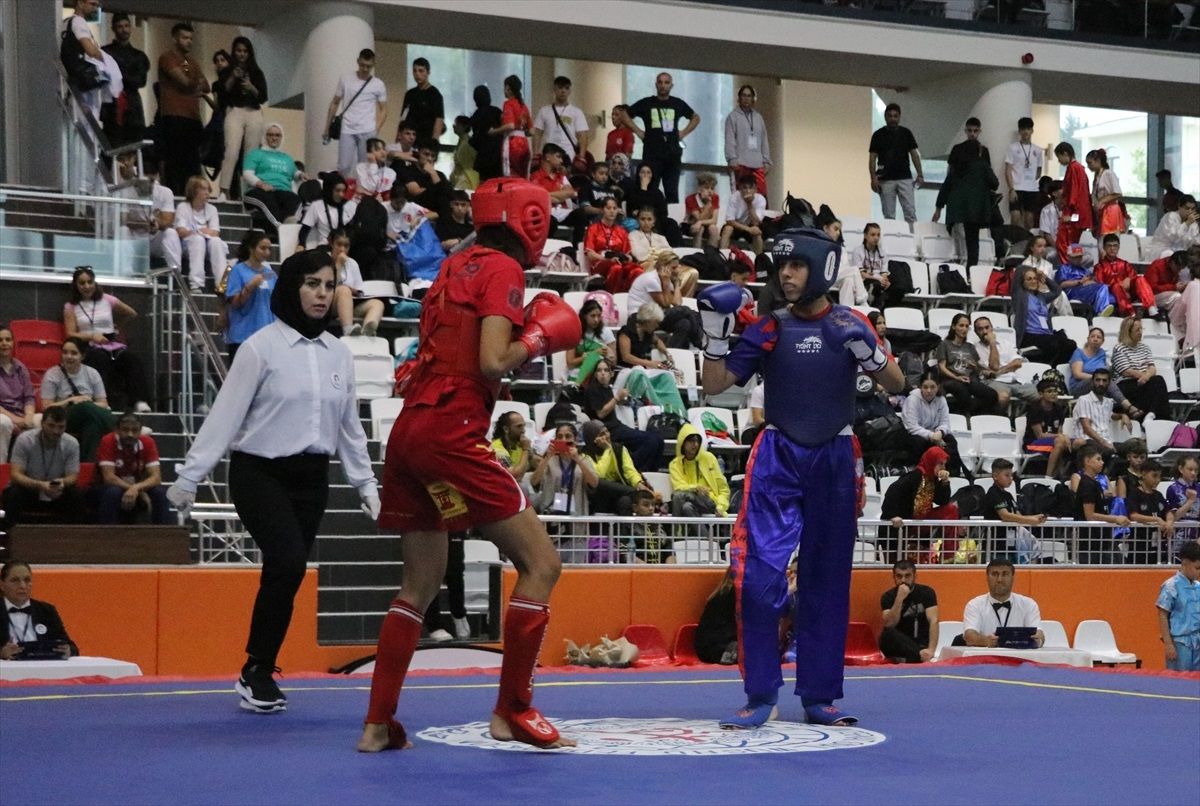 Türkiye Wushu Kung Fu Federasyonu, lisanslı atlet sayısını 1 milyona çıkarmayı hedefliyor