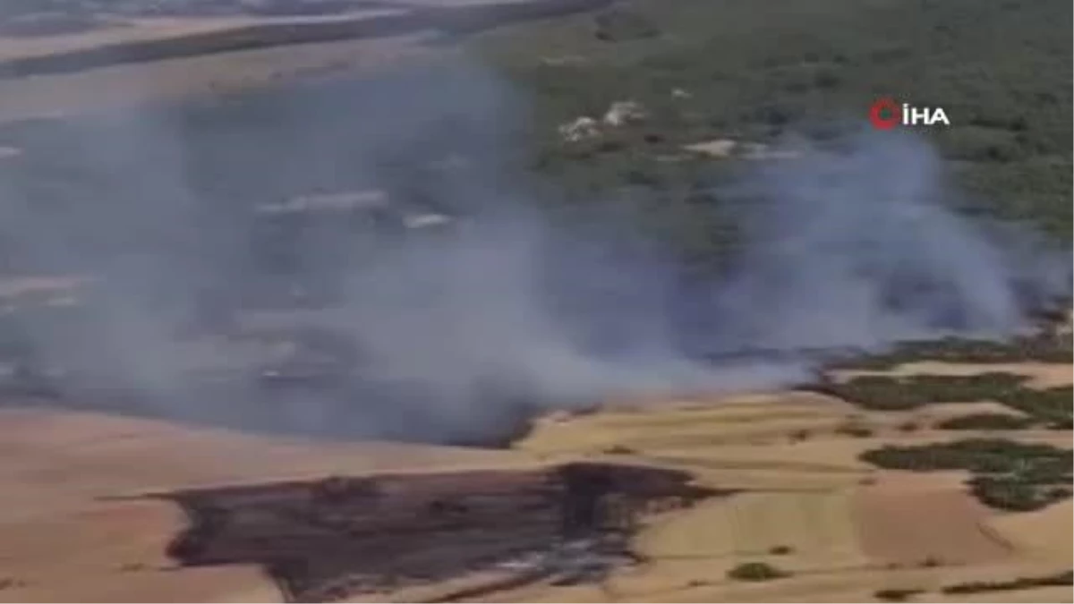 Yangında 14 hektar alanı ziyan gördü