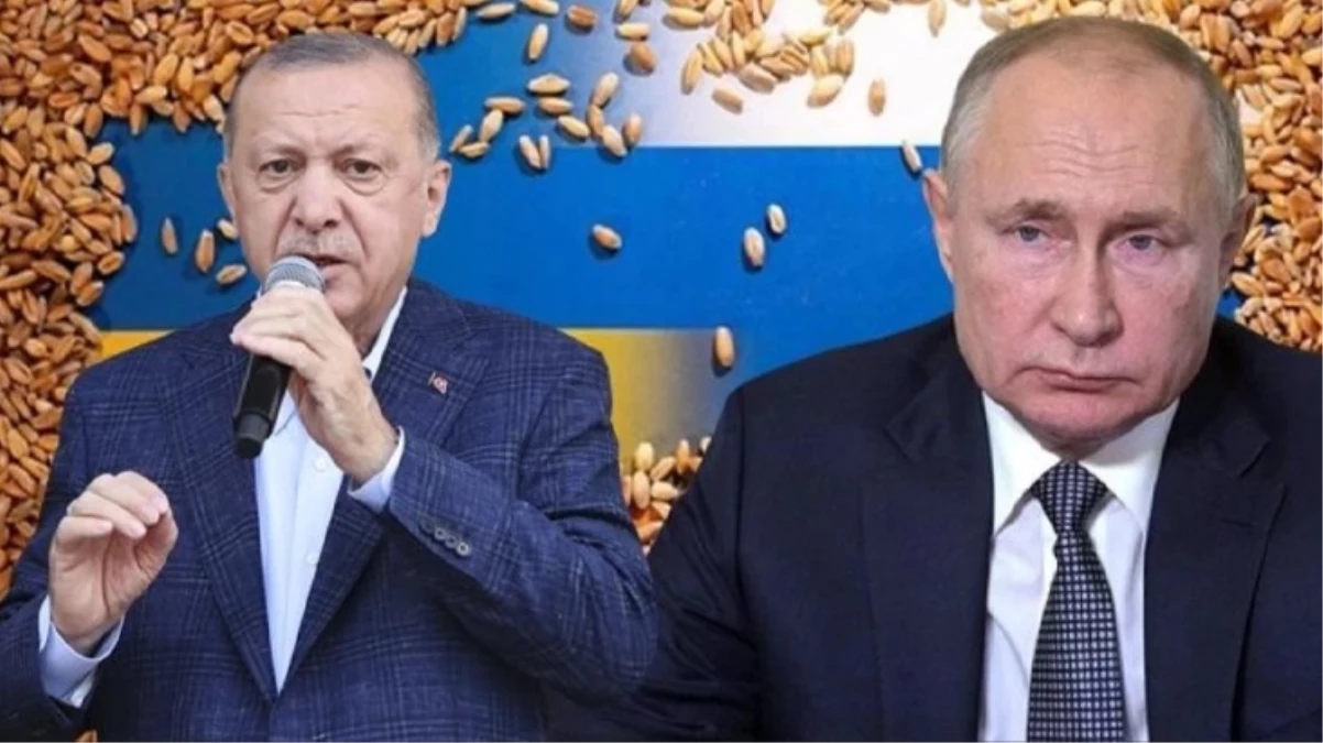 Cumhurbaşkanı Erdoğan: Tahıl sorununda Rusya'yı dışlayan bir sistemin olması mümkün değildir