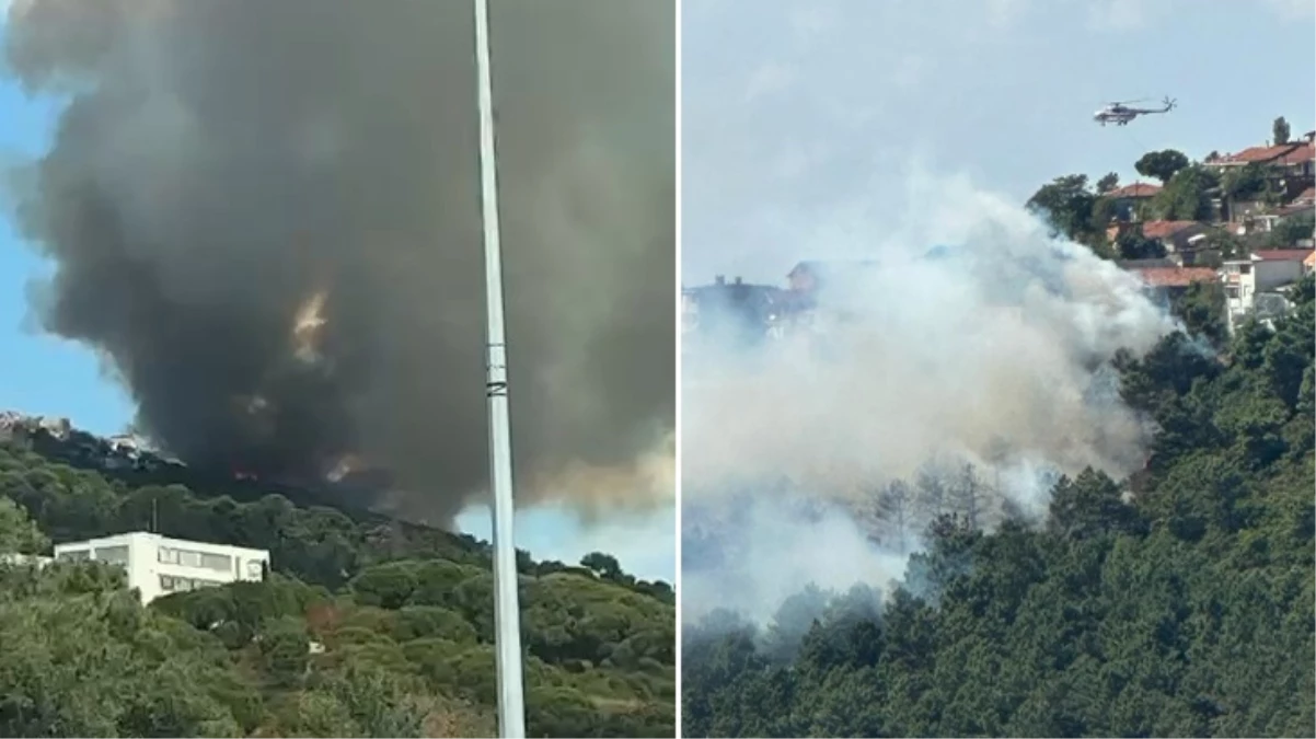 İstanbul Maltepe'de orman yangını! Bölgeye çok sayıda takım sevk edildi