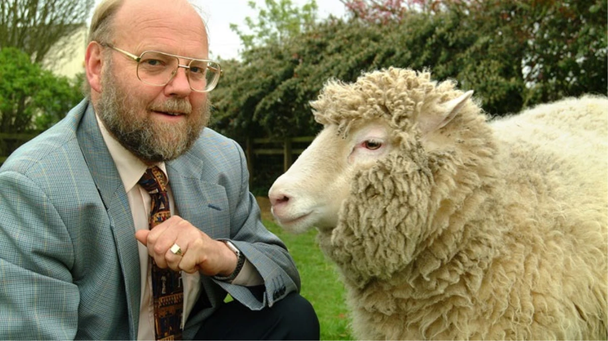 Koyun Dolly'i klonlayan İngiliz bilim insanı Ian Wilmut hayatını kaybetti