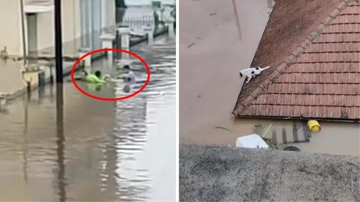 Yunanistan'daki sel felaketinde 3 kişi ömrünü yitirdi! Sulara kapılanlar "Yardım edin" diye bağırıyor